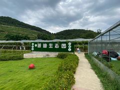 -普迪生态园