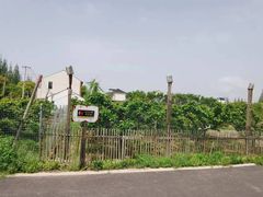 -小六农家乐(崇明西沙湿地店)