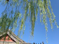 -济南大明湖景区