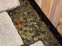 -邈墨茶馆(凤起路店)