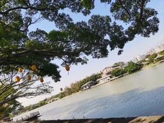 -江心屿景区