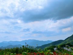 -四明山国家森林公园
