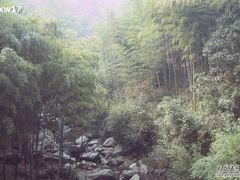 -众神白水涧景区