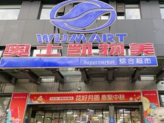 -奥士凯物美(新兴里店)