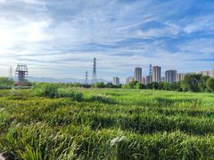 -永定河休闲森林公园