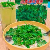 东莞｜香菜米线香菜雪碧你试过未？