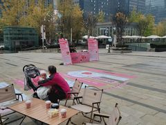 -合景·悠方(成都店)