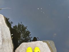 -莫子山公园