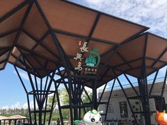 -上海长兴岛郊野公园