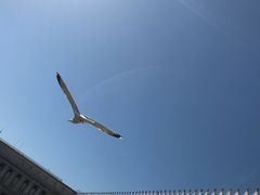 -圣马尔谷圣殿宗主教座堂