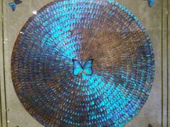 -上海昆虫博物馆