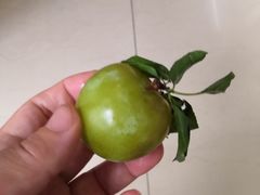 -呼吸森林·生态农庄农家乐私房菜