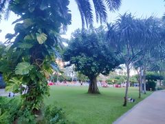 -三亚亚龙湾天域度假酒店