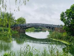 -贡湖湾湿地公园