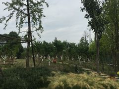 -洪湖家庭农场·团建·露营·会议