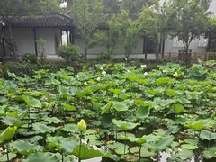 -上海醉白池公园