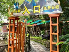 -瑞丽独树成林风景区