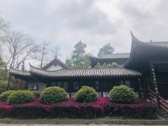 -潜山国家森林公园