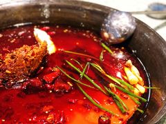 红锅底-五里关火锅(牛市口店)