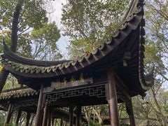 -上海佘山国家森林公园天马山园