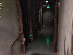 -森SPA·泰式按摩·精油Massage(宝安中心店)