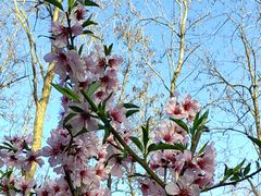 -大兴滨河森林公园