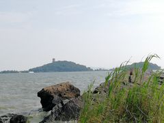 -上海市保健医疗中心(华东疗养院)