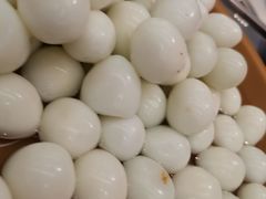 -龍歌自助小火锅(城阳万象汇店)