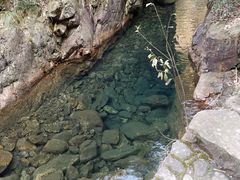 -大奇山国家森林公园