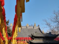 -护国法轮寺
