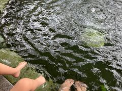 -惠州金海湾嘉华度假酒店