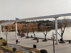 -小白鲨工夫潮膳(曲江店)