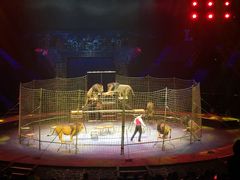 -珠海横琴长隆《卡卡虎奇遇记》