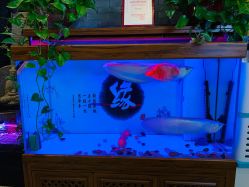 -至爱至信新中式SPA疗愈会所