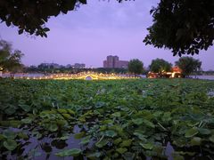 -济南大明湖景区