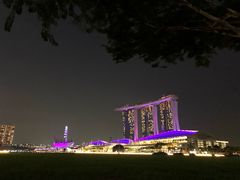 -新加坡瑞士史丹福酒店