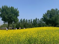 -长白岛森林公园