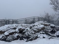 -紫金山山顶公园