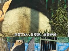 -苏州太湖国家湿地公园
