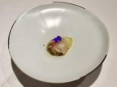 竹荚鱼-蝶舍·MAISON PAPILLON