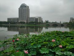 -江南大学(蠡湖校区)