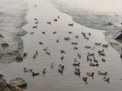 -深圳湾公园(南山区)