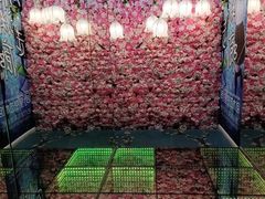 -成都梵高星空艺术馆(春熙路旗舰店)