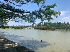 -江心屿景区