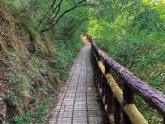 -圣莲山风景区