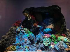 -中国湿地博物馆