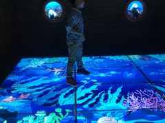 -中国宋庆龄青少年科技文化交流中心