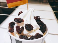 -JW德国冻酸奶Frozen Yogurt(龙湖成都滨江天街店)