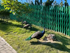 -西霞口神雕山野生动物世界