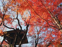 -常寂光寺